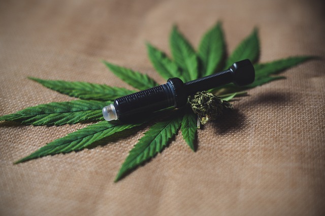 Lovlig og økologisk: Cbd olie fra schweiz erobrer danmark
